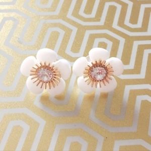 White Epoxy With Gold Spinal        c